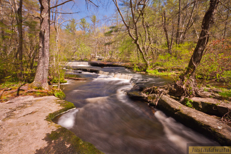 Enlarge photo 35