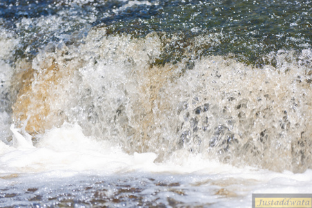 Enlarge photo 42
