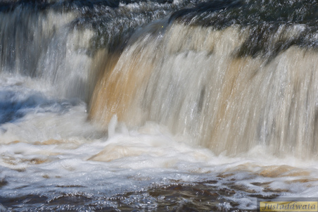 Enlarge photo 43