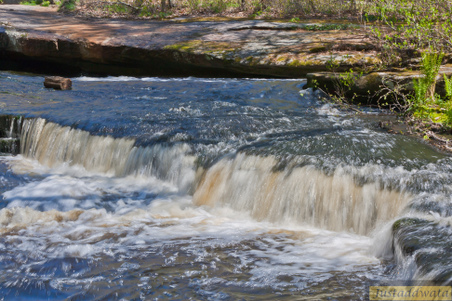 Enlarge photo 45