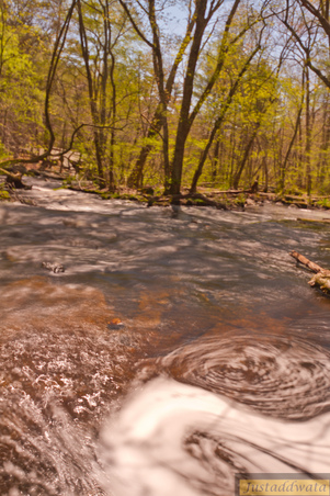 Enlarge photo 49