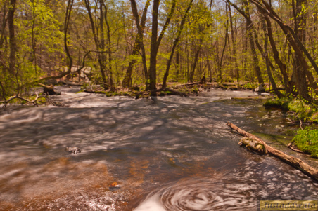 Enlarge photo 51