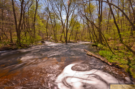 Enlarge photo 52