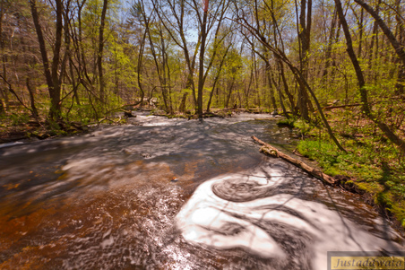 Enlarge photo 53