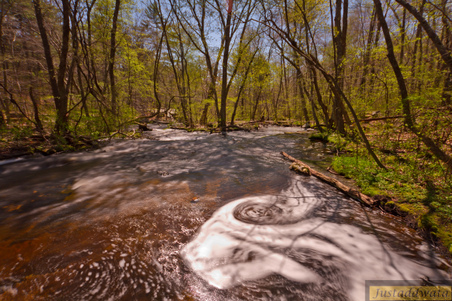 Enlarge photo 54