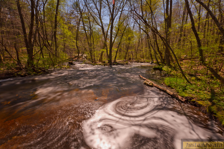 Enlarge photo 55