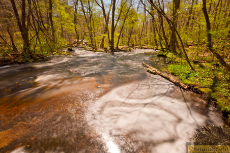 Enlarge photo 57