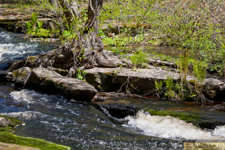 Enlarge photo 58