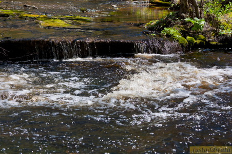 Enlarge photo 59