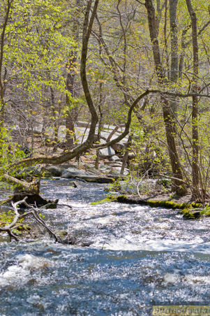 Enlarge photo 61