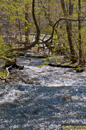 Enlarge photo 63