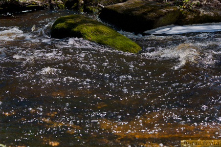 Enlarge photo 65