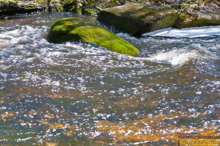 Enlarge photo 66