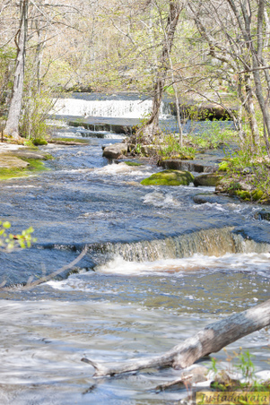 Enlarge photo 71
