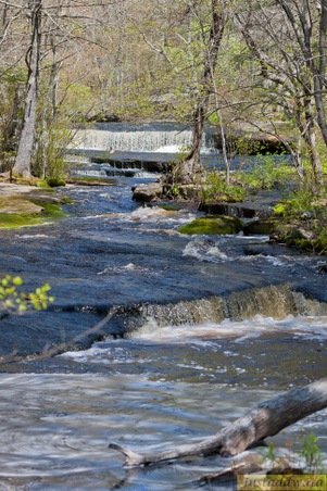 Enlarge photo 72