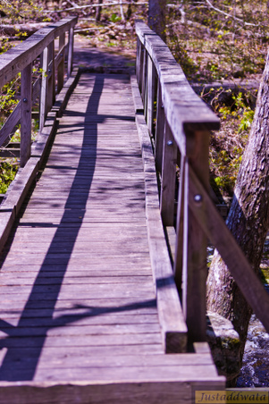 Enlarge photo 84