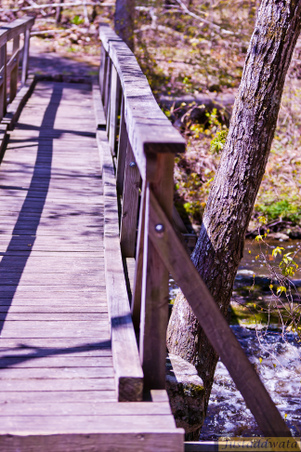 Enlarge photo 85