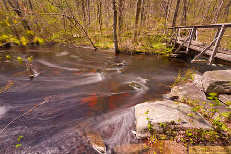 Enlarge photo 87