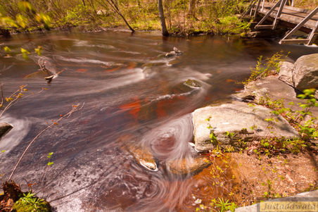Enlarge photo 88