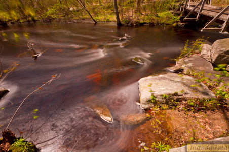 Enlarge photo 89