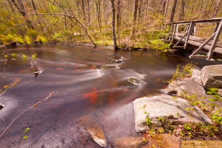 Enlarge photo 90