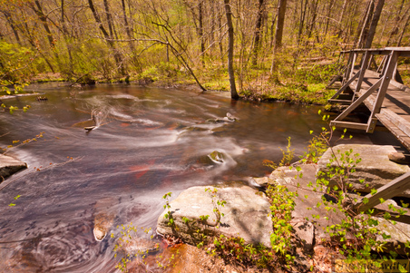 Enlarge photo 91