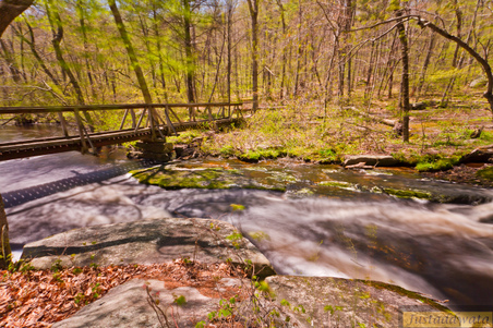Enlarge photo 95