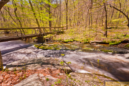 Enlarge photo 96