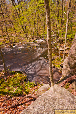 Enlarge photo 99