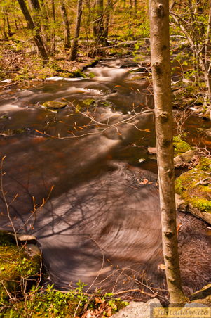 Enlarge photo 100