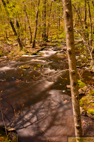 Enlarge photo 102