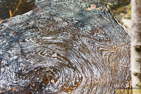 Enlarge photo 103