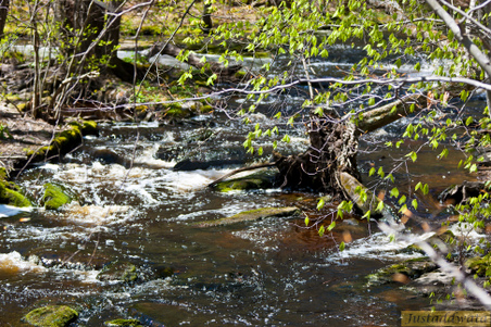 Enlarge photo 104