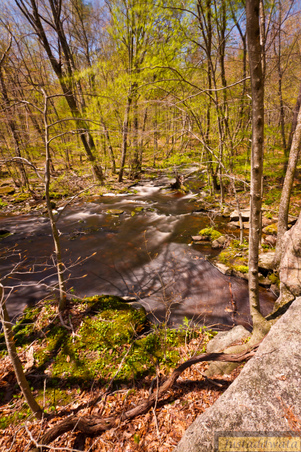 Enlarge photo 105