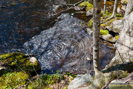 Enlarge photo 106