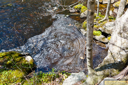 Enlarge photo 107