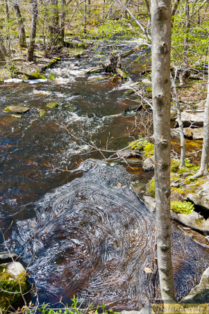 Enlarge photo 108