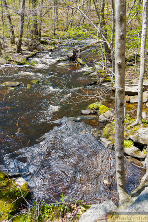 Enlarge photo 109