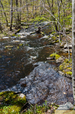 Enlarge photo 110