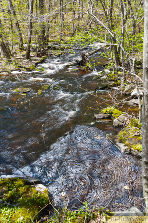 Enlarge photo 112