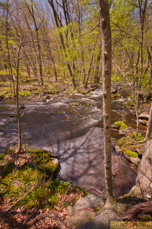 Enlarge photo 113