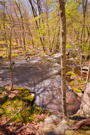 Enlarge photo 114