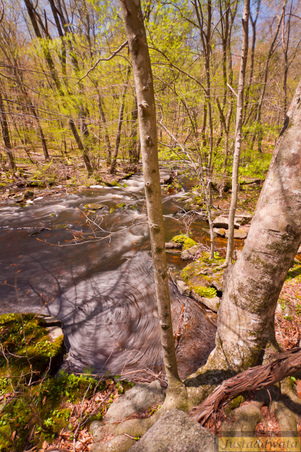 Enlarge photo 115