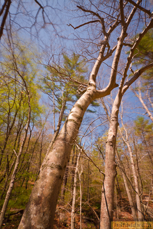 Enlarge photo 116