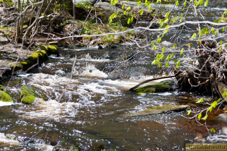 Enlarge photo 117