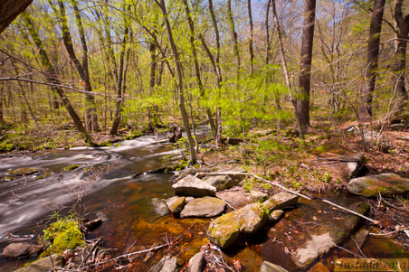 Enlarge photo 118