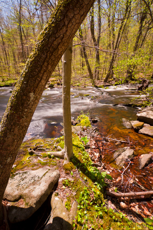 Enlarge photo 120