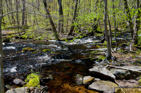 Enlarge photo 123