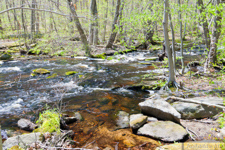 Enlarge photo 124