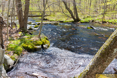 Enlarge photo 125